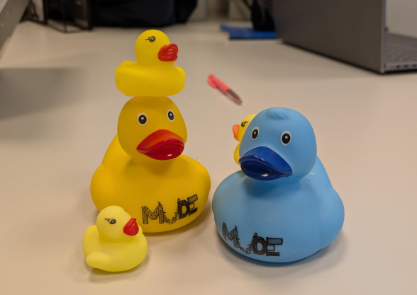 duck